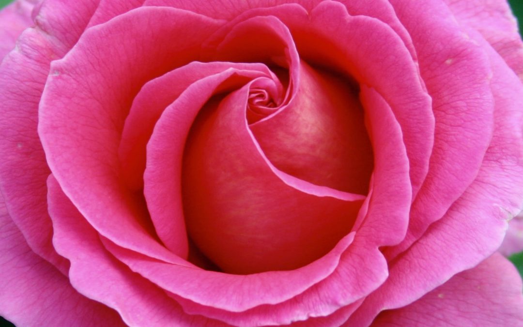 Mother Radiance, February 23 & 24, 2019